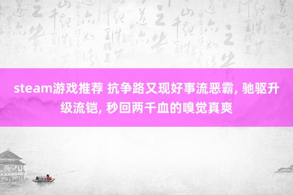 steam游戏推荐 抗争路又现好事流恶霸, 驰驱升级流铠, 秒回两千血的嗅觉真爽