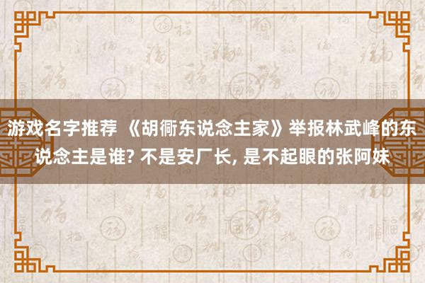 游戏名字推荐 《胡衕东说念主家》举报林武峰的东说念主是谁? 不是安厂长, 是不起眼的张阿妹