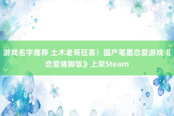 游戏名字推荐 土木老哥狂喜！国产笔墨恋爱游戏《恋爱猪脚饭》上架Steam